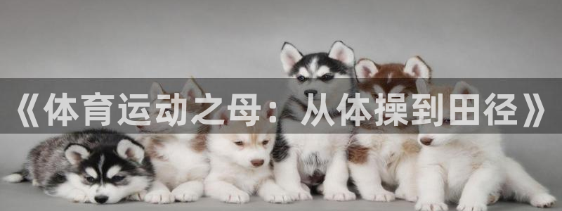 欧亿体育官方正版app娱乐