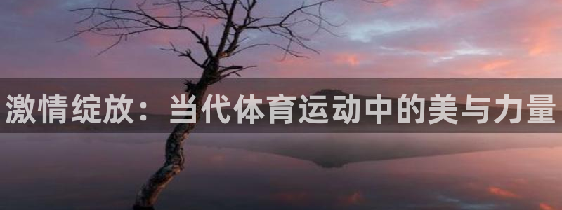 oety欧亿体育官网下载平台注册：激情绽放：当代体育运动中的