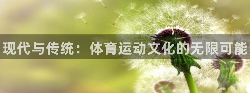 oety欧亿体育官网下载平台APP：现代与传统：体育