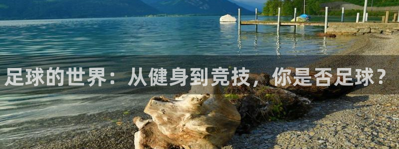 欧亿体育官方正版app官网