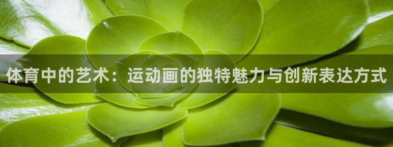 oety欧亿体育官网下载招商：体育中的艺术：运动画的