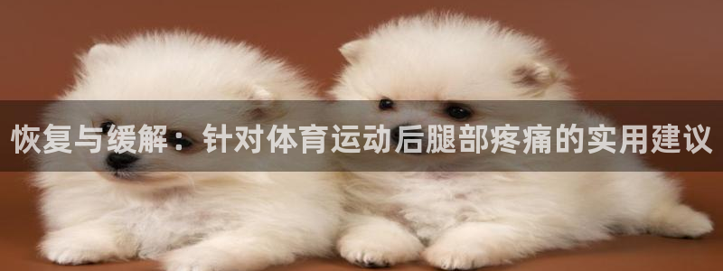 oety欧亿体育官网下载平台注册流程视频：恢复与缓解：针对体