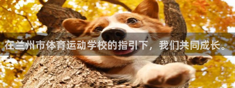 oety欧亿体育官网下载招商电话地址查询：在兰州市体育运动学