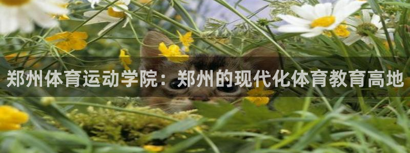 oety欧亿体育官网下载招商电话号码：郑州体育运动学