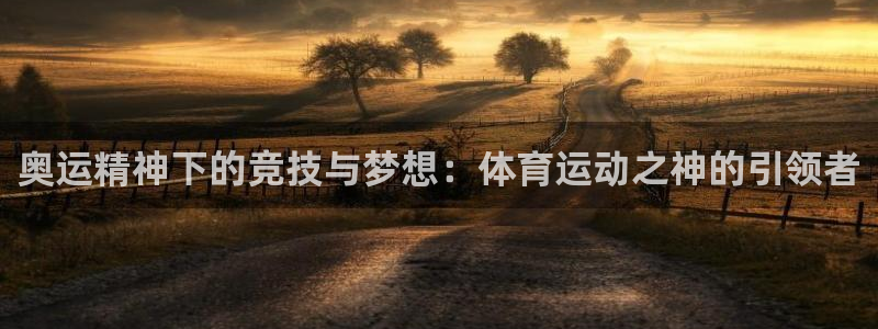 海南oety欧亿体育官网下载发展怎么样：奥运精神下的