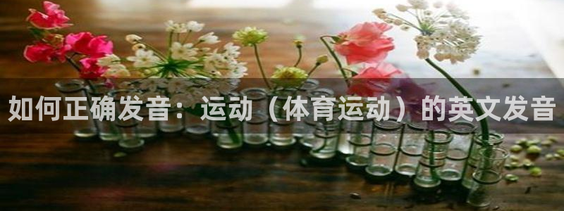 oe欧亿平台下载首页