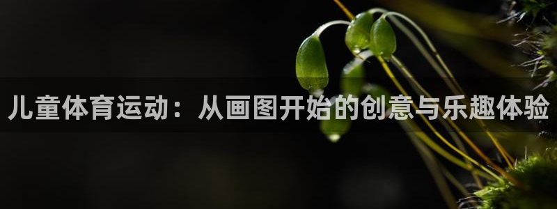欧亿三娱浗维33 300：儿童体育运