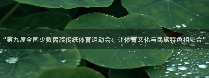 欧亿官网入口：“第九届全国少数民族传