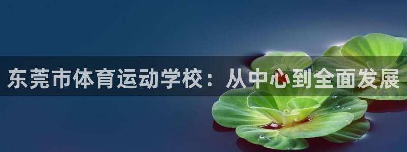 oe欧亿平台下载首页：东莞市体育运动
