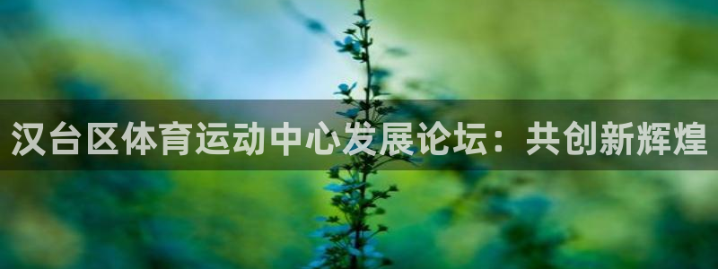 欧亿平台首页：汉台区体育运动中心发展