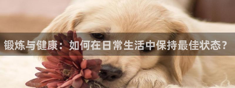 oety欧亿体育官网下载平台注册流程视频：锻炼与健康：如何在