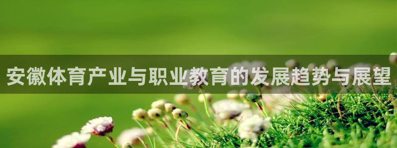 oety欧亿体育官网下载招商电话：安徽体育产业与职业教育的发
